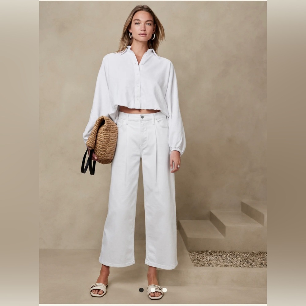 Wide leg crop pants from Banana Republic